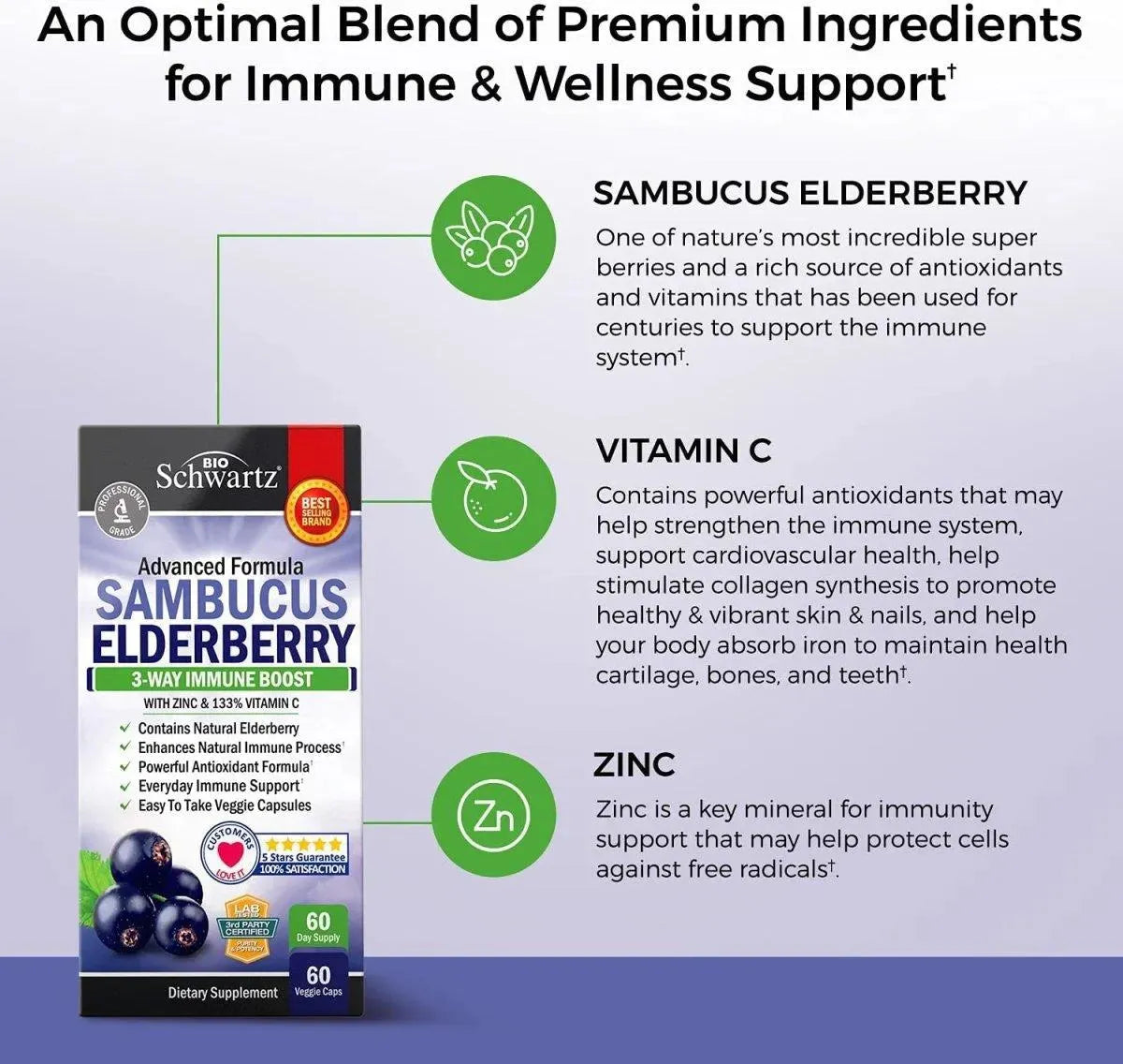 BIO SCHWARTZ - Bio Schwartz Sambucus Elderberry 60 Capsulas - The Red Vitamin MX - Suplementos Alimenticios - {{ shop.shopifyCountryName }}