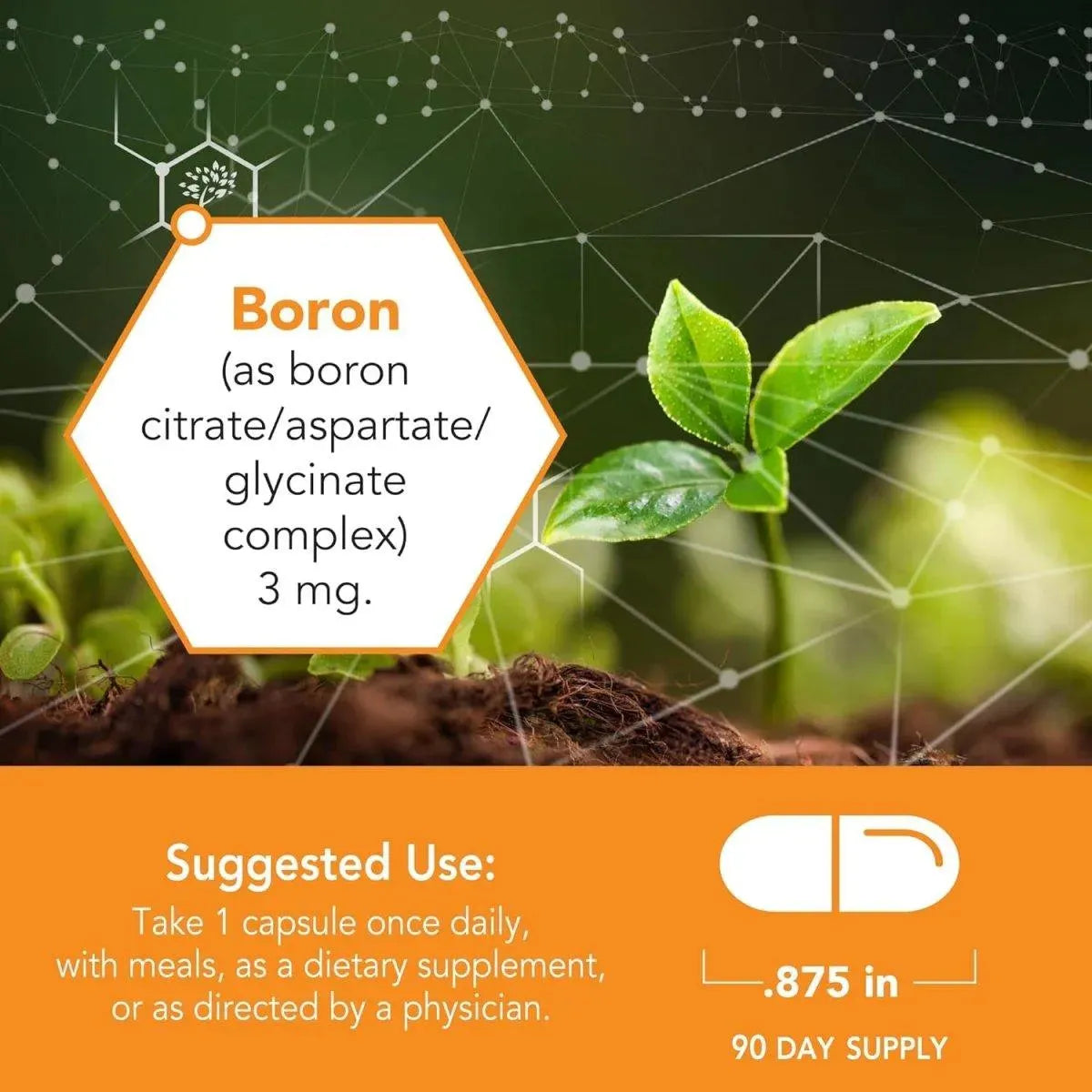 BOTANIC CHOICE - Botanic Choice Super Boron Complex 3 Mg. 90 Capsulas - The Red Vitamin MX - Suplementos Alimenticios - {{ shop.shopifyCountryName }}