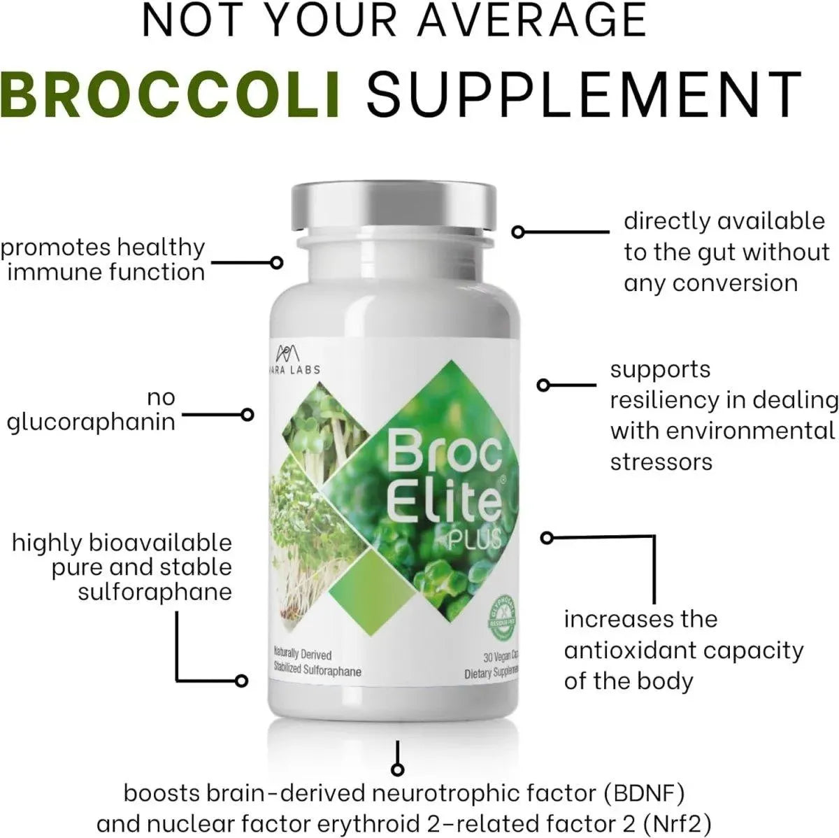 BROCELITE - BrocElite Plus Broccoli Supplement Stabilized Sulforaphane Extract - The Red Vitamin MX - Suplementos Alimenticios - {{ shop.shopifyCountryName }}