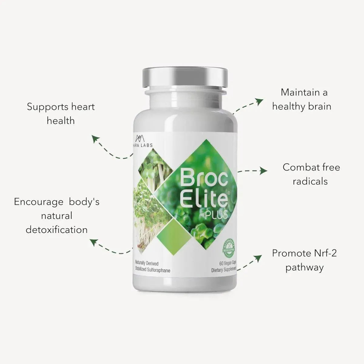 BROCELITE - BrocElite Plus Broccoli Supplement Stabilized Sulforaphane Extract - The Red Vitamin MX - Suplementos Alimenticios - {{ shop.shopifyCountryName }}
