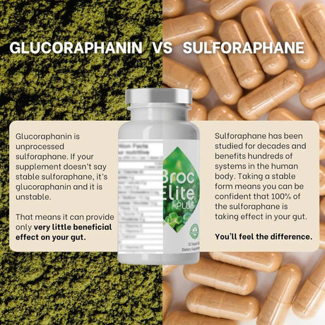 BROCELITE - BrocElite Plus Broccoli Supplement Stabilized Sulforaphane Extract - The Red Vitamin MX - Suplementos Alimenticios - {{ shop.shopifyCountryName }}