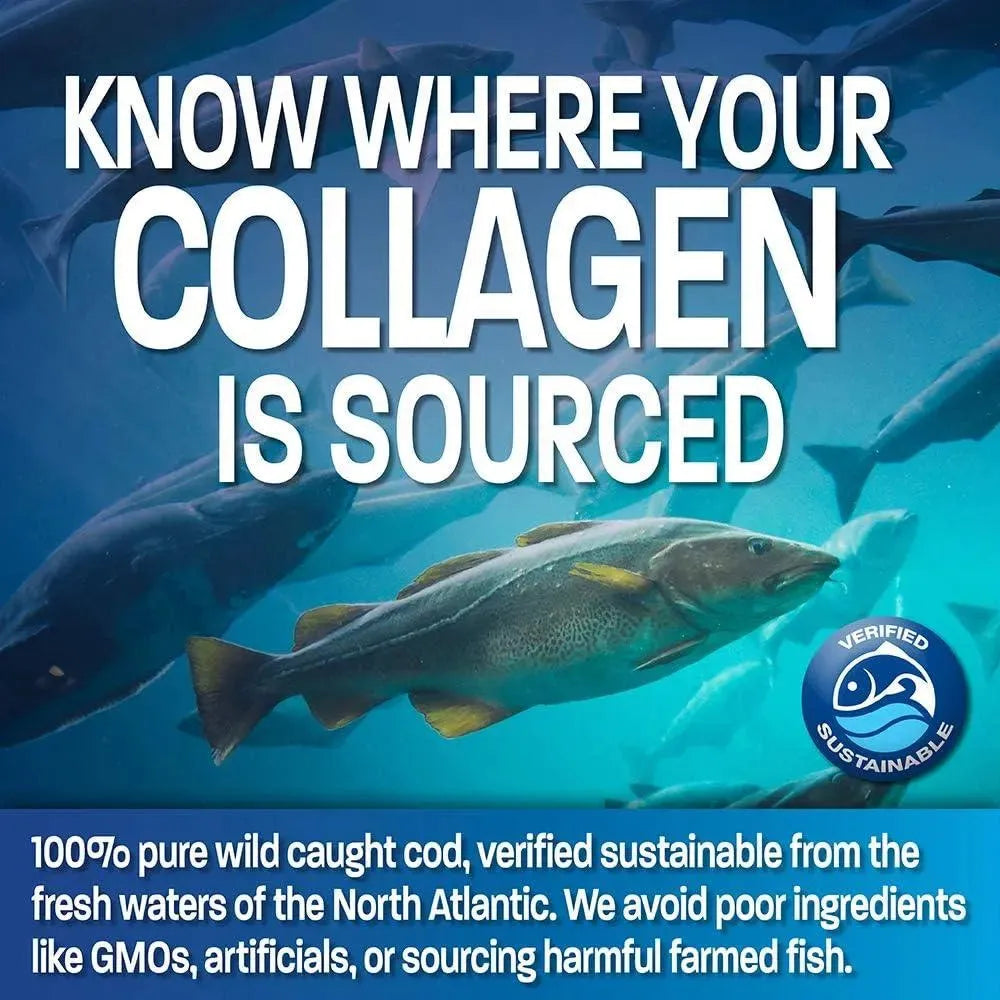 BRONSON - Bronson Marine Collagen Peptides Hydrolyzed Protein Powder 150Gr. - The Red Vitamin MX - Suplementos Alimenticios - {{ shop.shopifyCountryName }}