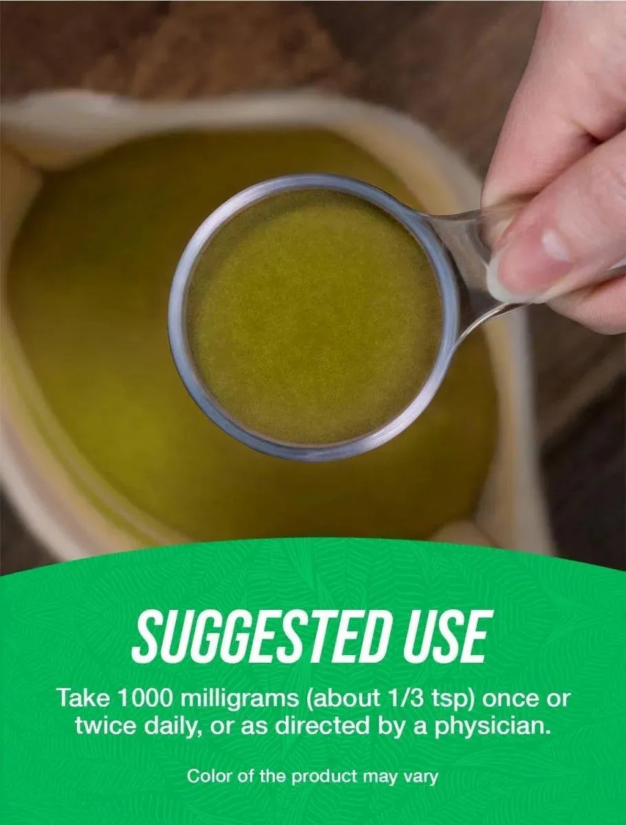 BULK SUPPLEMENTS - Bulk Supplements Andrographis Extract Powder 500Gr. - The Red Vitamin MX - Suplementos Alimenticios - {{ shop.shopifyCountryName }}