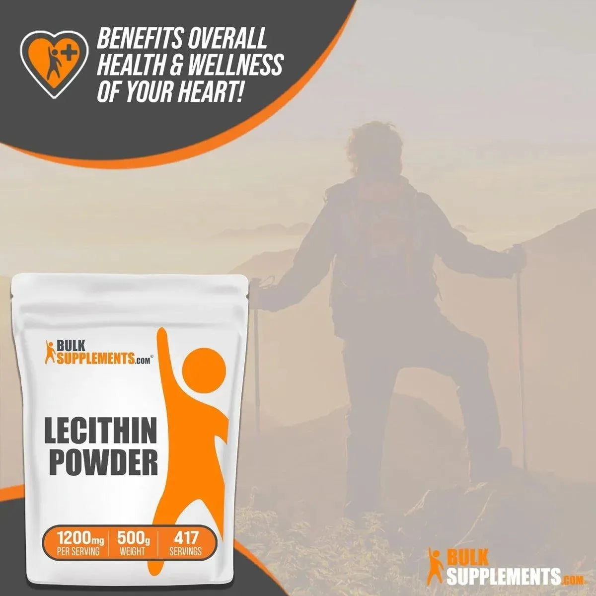 BULK SUPPLEMENTS - Bulk Supplements Lecithin Powder 500Gr. - The Red Vitamin MX - Suplementos Alimenticios - {{ shop.shopifyCountryName }}