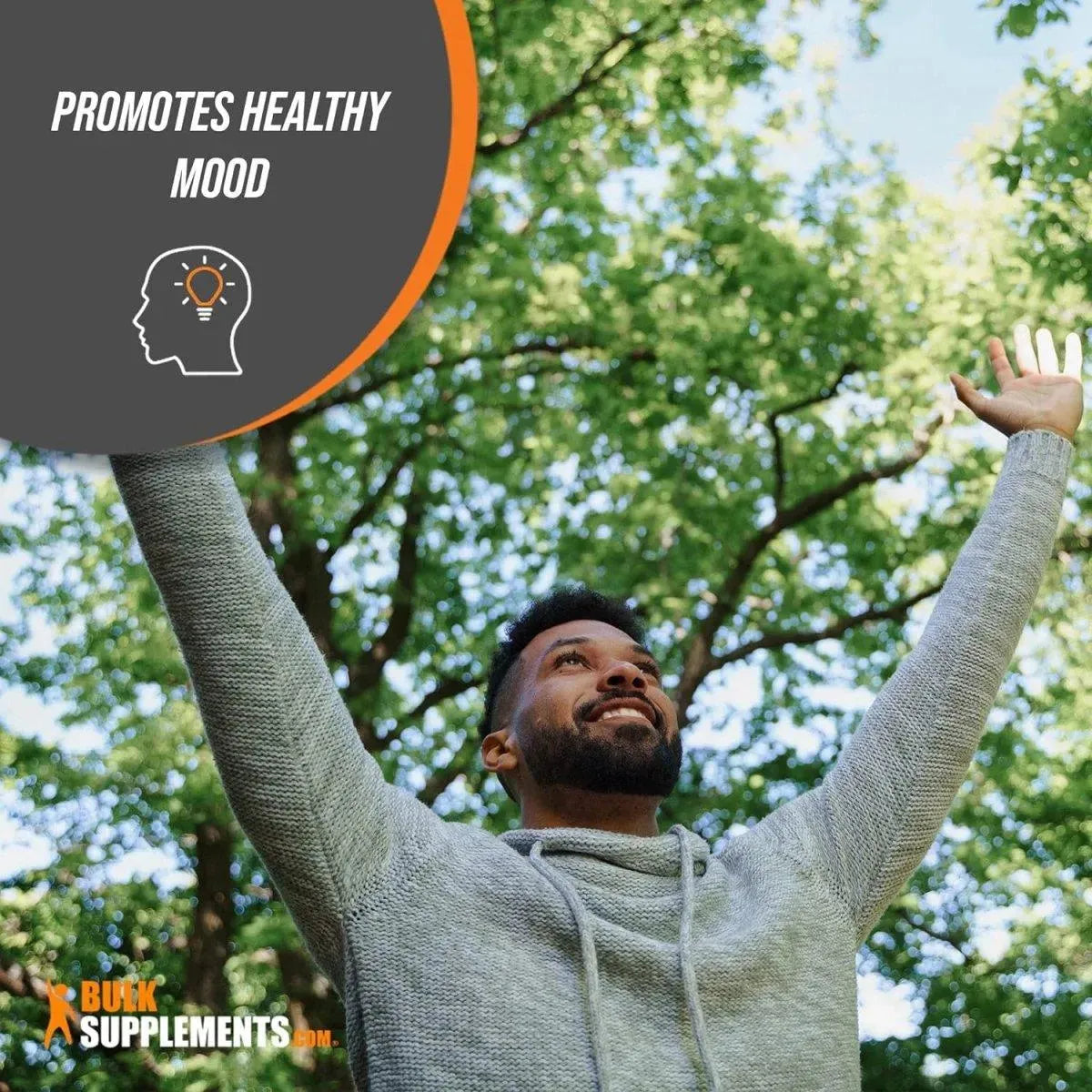 BULK SUPPLEMENTS - Bulk Supplements St. John's Wort Extract 500Gr. - The Red Vitamin MX - Suplementos Alimenticios - {{ shop.shopifyCountryName }}