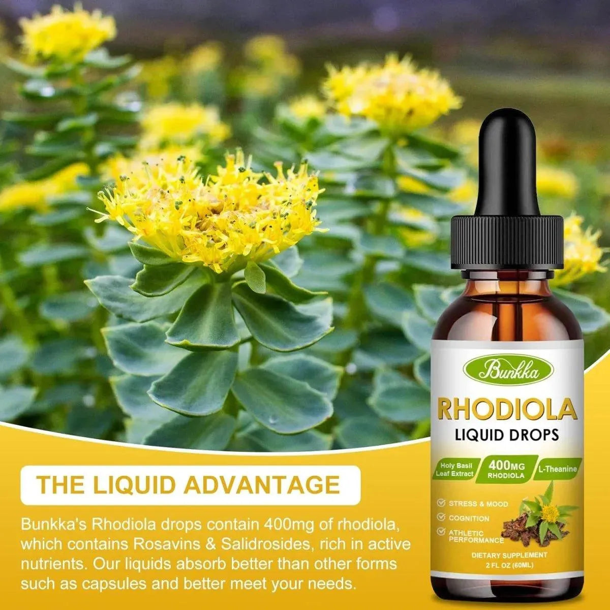 BUNKKA - Bunkka Rhodiola Rosea Liquid Drops 120Ml. - The Red Vitamin MX - Suplementos Alimenticios - {{ shop.shopifyCountryName }}