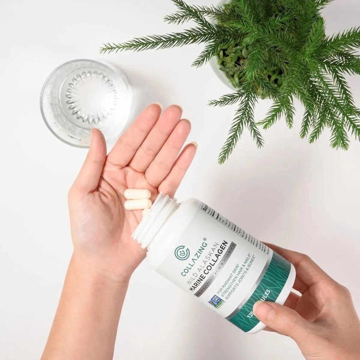 C COLLAZING - C COLLAZING Alaskan Wild-Caught Marine Collagen 120 Capsulas - The Red Vitamin MX - Suplementos Alimenticios - {{ shop.shopifyCountryName }}