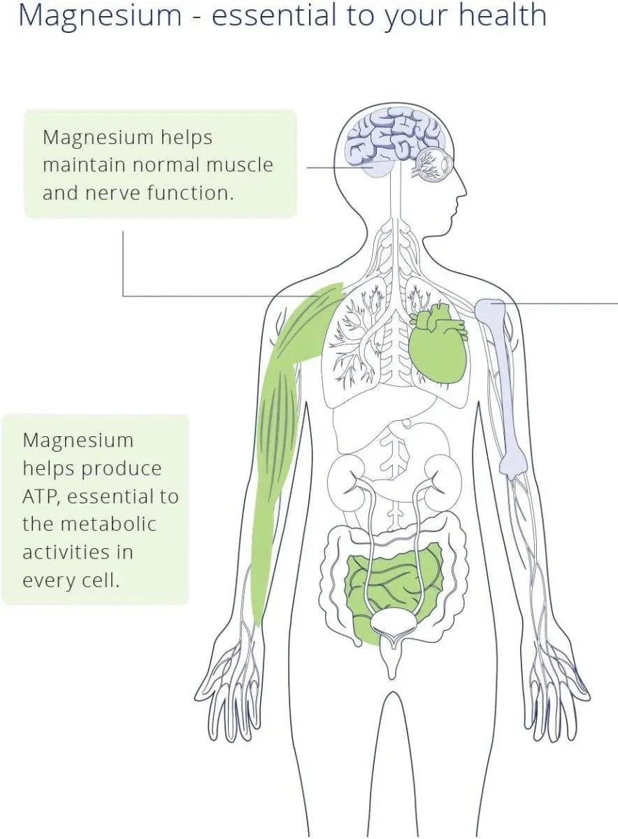 CANPREV - CanPrev Magnesium Bis-Glycinate 200 Gentle 240 Capsulas - The Red Vitamin MX - Suplementos Alimenticios - {{ shop.shopifyCountryName }}