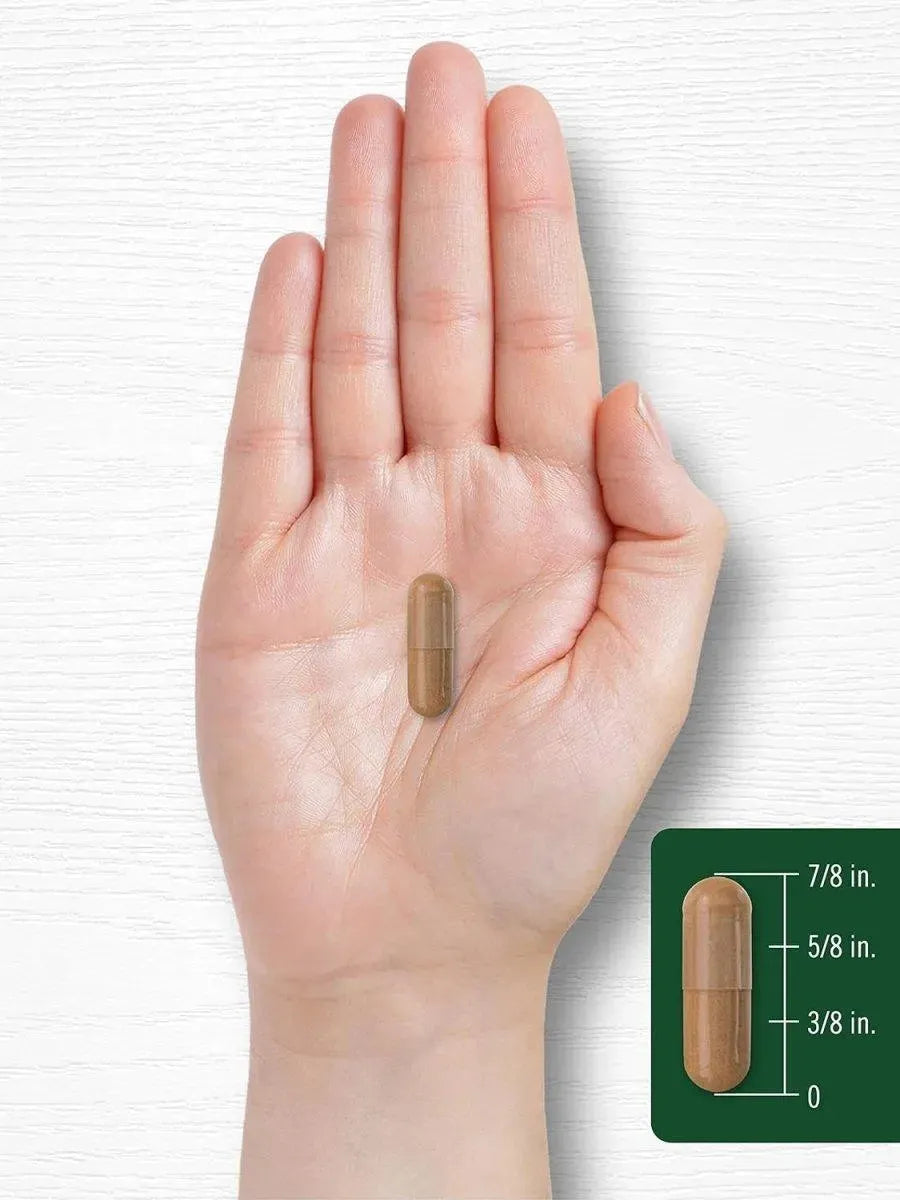 CARLYLE - Carlyle African Mango 1220Mg. 180 Capsulas - The Red Vitamin MX - Suplementos Alimenticios - {{ shop.shopifyCountryName }}