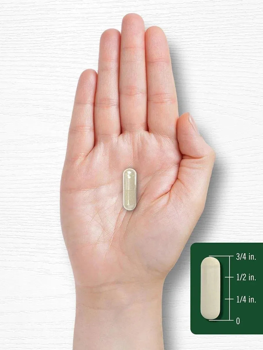 CARLYLE - Carlyle Gymnema Sylvestre 600Mg. 200 Capsulas - The Red Vitamin MX - Suplementos Alimenticios - {{ shop.shopifyCountryName }}