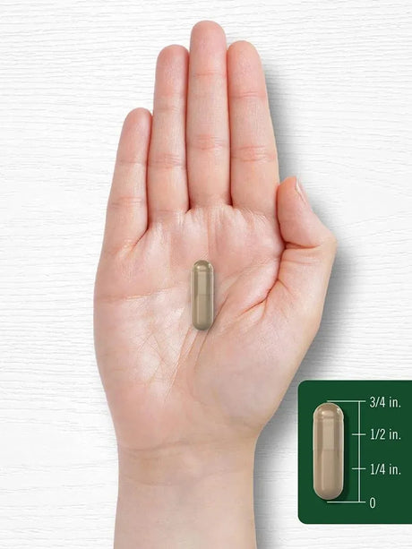 CARLYLE - Carlyle Korean Panax Ginseng 2000Mg. 250 Capsulas - The Red Vitamin MX - Suplementos Alimenticios - {{ shop.shopifyCountryName }}