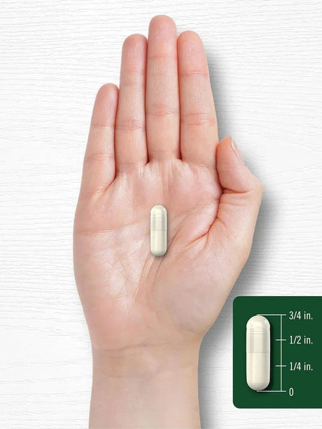 CARLYLE - Carlyle Pueraria Mirifica 1000Mg. 120 Capsulas - The Red Vitamin MX - Suplementos Alimenticios - {{ shop.shopifyCountryName }}