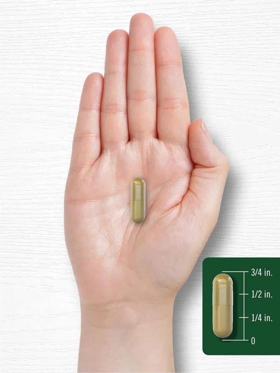 CARLYLE - Carlyle Siberian Eleuthero 2400Mg. 300 Capsulas - The Red Vitamin MX - Suplementos Alimenticios - {{ shop.shopifyCountryName }}