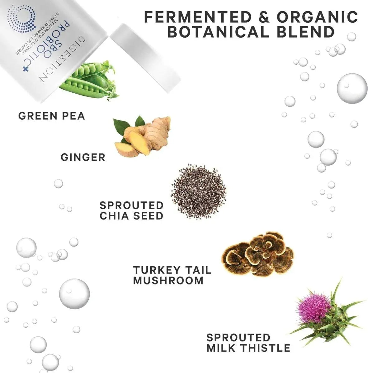 CODEAGE - Codeage SBO Probiotics 50 Billion CFUs 90 Capsulas - The Red Vitamin MX - Suplementos Alimenticios - {{ shop.shopifyCountryName }}