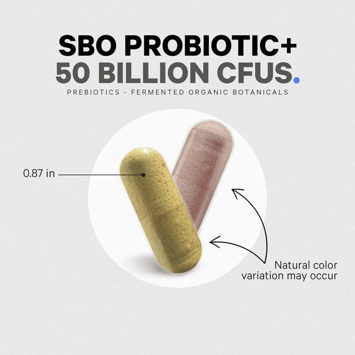 CODEAGE - Codeage SBO Probiotics 50 Billion CFUs 90 Capsulas - The Red Vitamin MX - Suplementos Alimenticios - {{ shop.shopifyCountryName }}