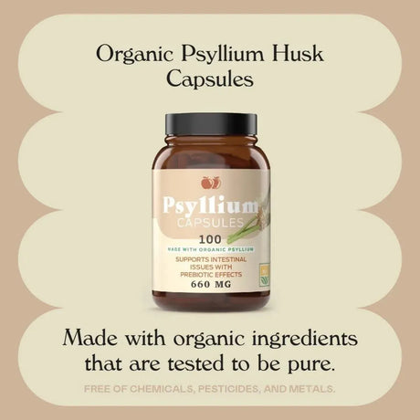 COMPLETE NATURAL PRODUCTS - Complete Natural Products Psyllium Husk Powder 660Mg. 100 Capsulas - The Red Vitamin MX - Suplementos Alimenticios - {{ shop.shopifyCountryName }}