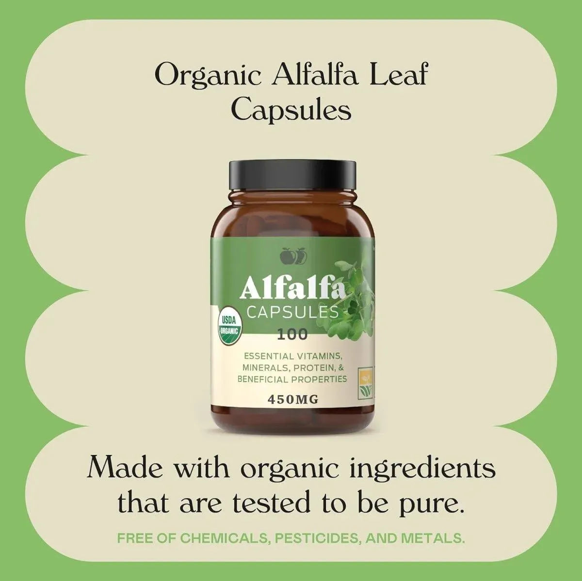COMPLETE NATURAL PRODUCTS - Complete Natural Products Pure Alfalfa Leaf 630Mg. 100 Capsulas - The Red Vitamin MX - Suplementos Alimenticios - {{ shop.shopifyCountryName }}