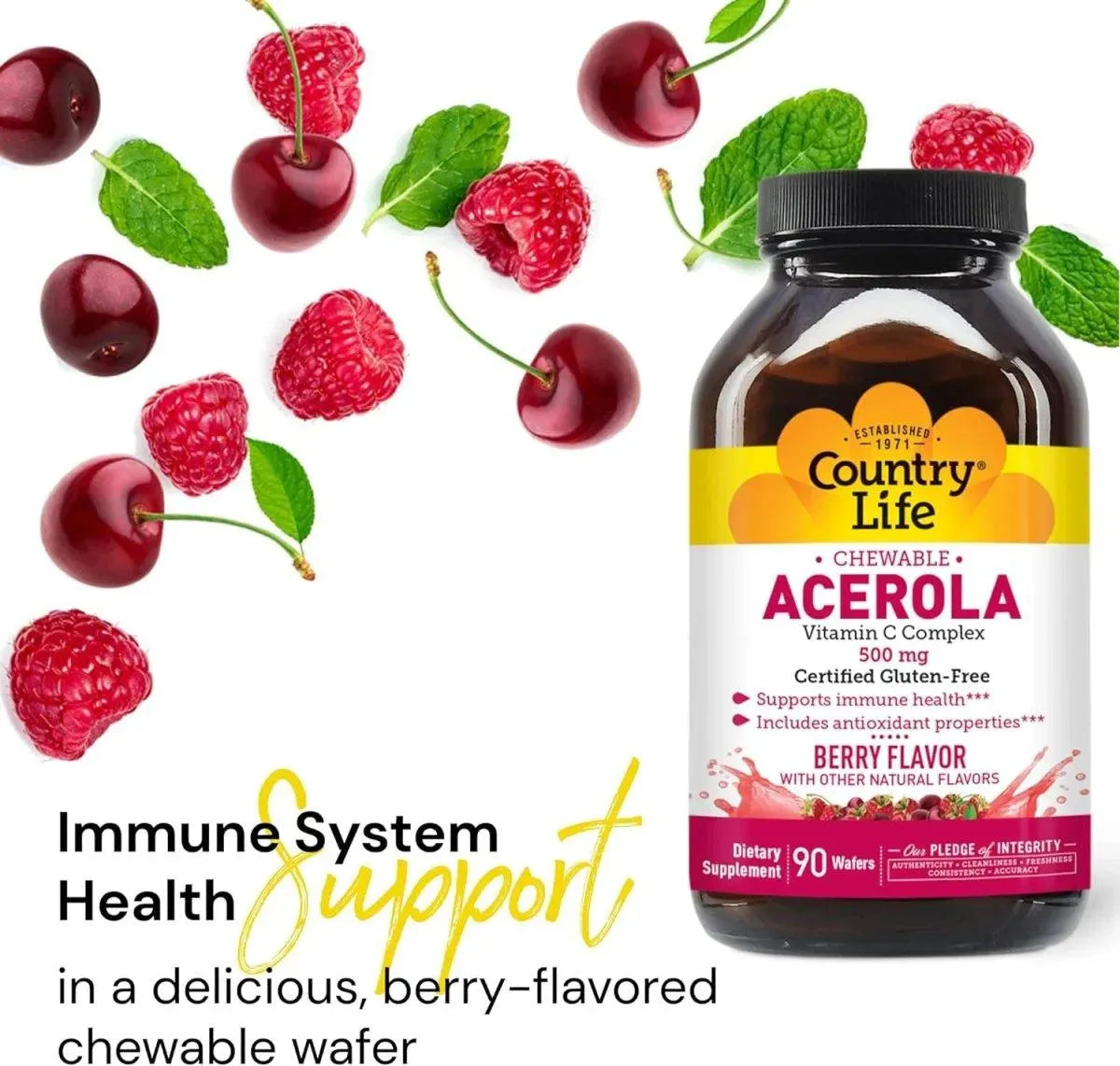 COUNTRY LIFE - Country Life Acerola Vitamin C Complex 500Mg. 90 Tabletas Masticables - The Red Vitamin MX - Suplementos Alimenticios - {{ shop.shopifyCountryName }}