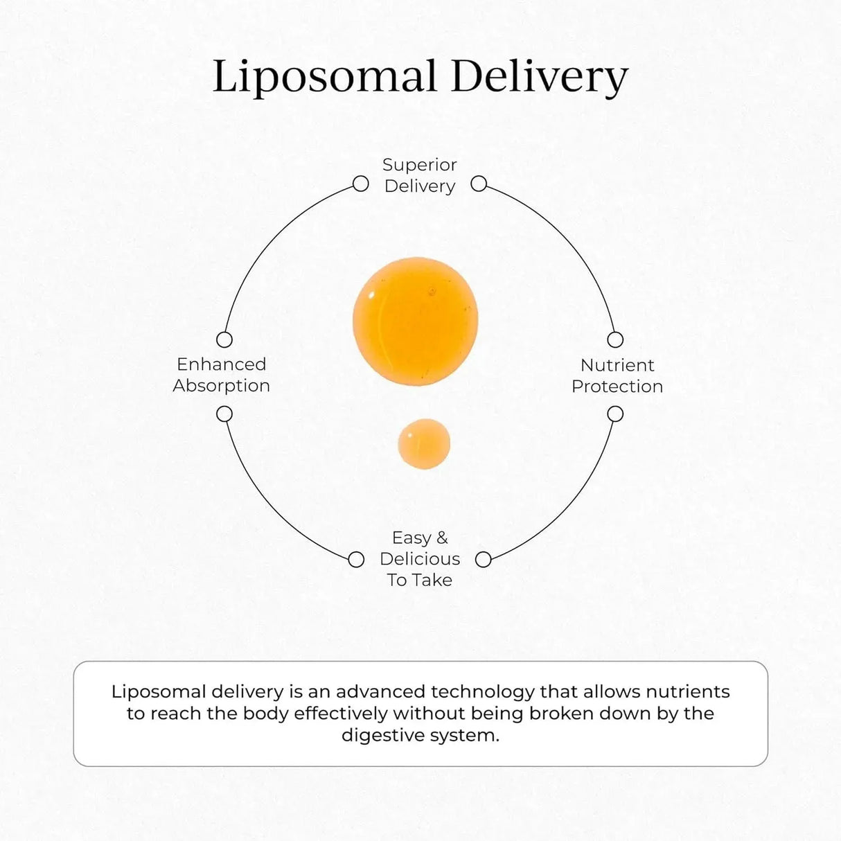 CYMBIOTIKA - CYMBIOTIKA Vitamin C Individual Packets 30 Paquetes - The Red Vitamin MX - Suplementos Alimenticios - {{ shop.shopifyCountryName }}