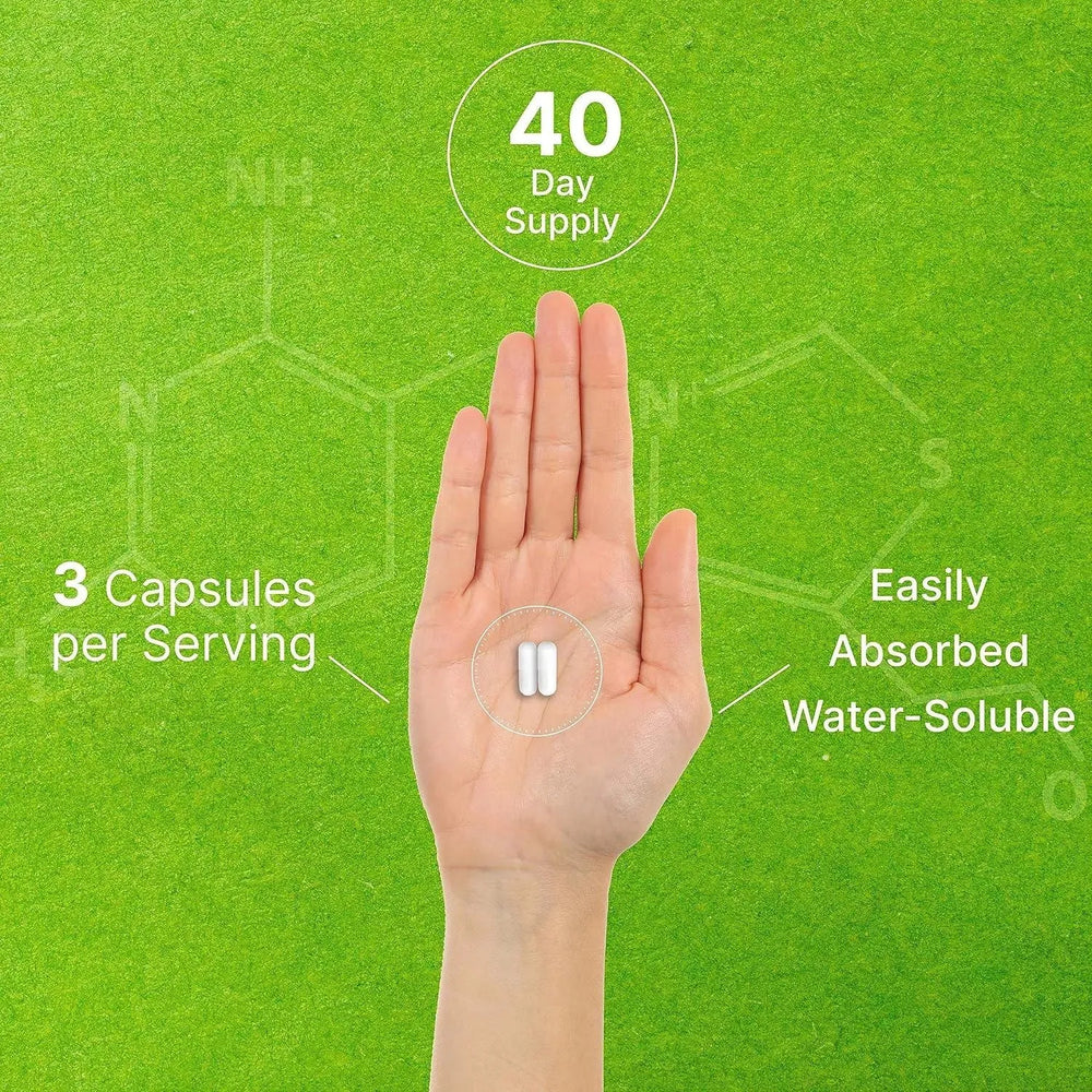 DEAL SUPPLEMENT - Deal Supplement Citicoline CDP Choline, 1,000Mg. 120 Capsulas - The Red Vitamin MX - Suplementos Alimenticios - {{ shop.shopifyCountryName }}