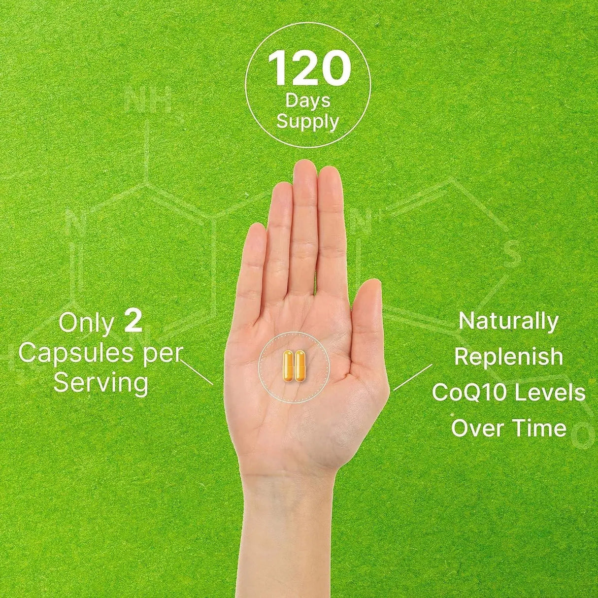 DEAL SUPPLEMENT - Deal Supplement CoQ10 200Mg. & PQQ 200mcg 240 Capsulas - The Red Vitamin MX - Suplementos Alimenticios - {{ shop.shopifyCountryName }}