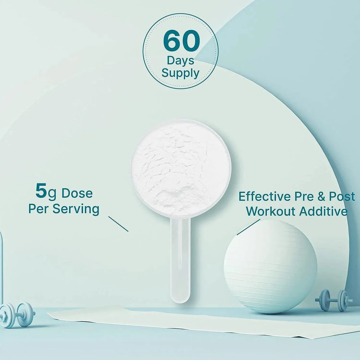 DEAL SUPPLEMENT - Deal Supplement Creatine Monohydrate Powder 60 Servicios 300Gr. - The Red Vitamin MX - Suplementos Alimenticios - {{ shop.shopifyCountryName }}