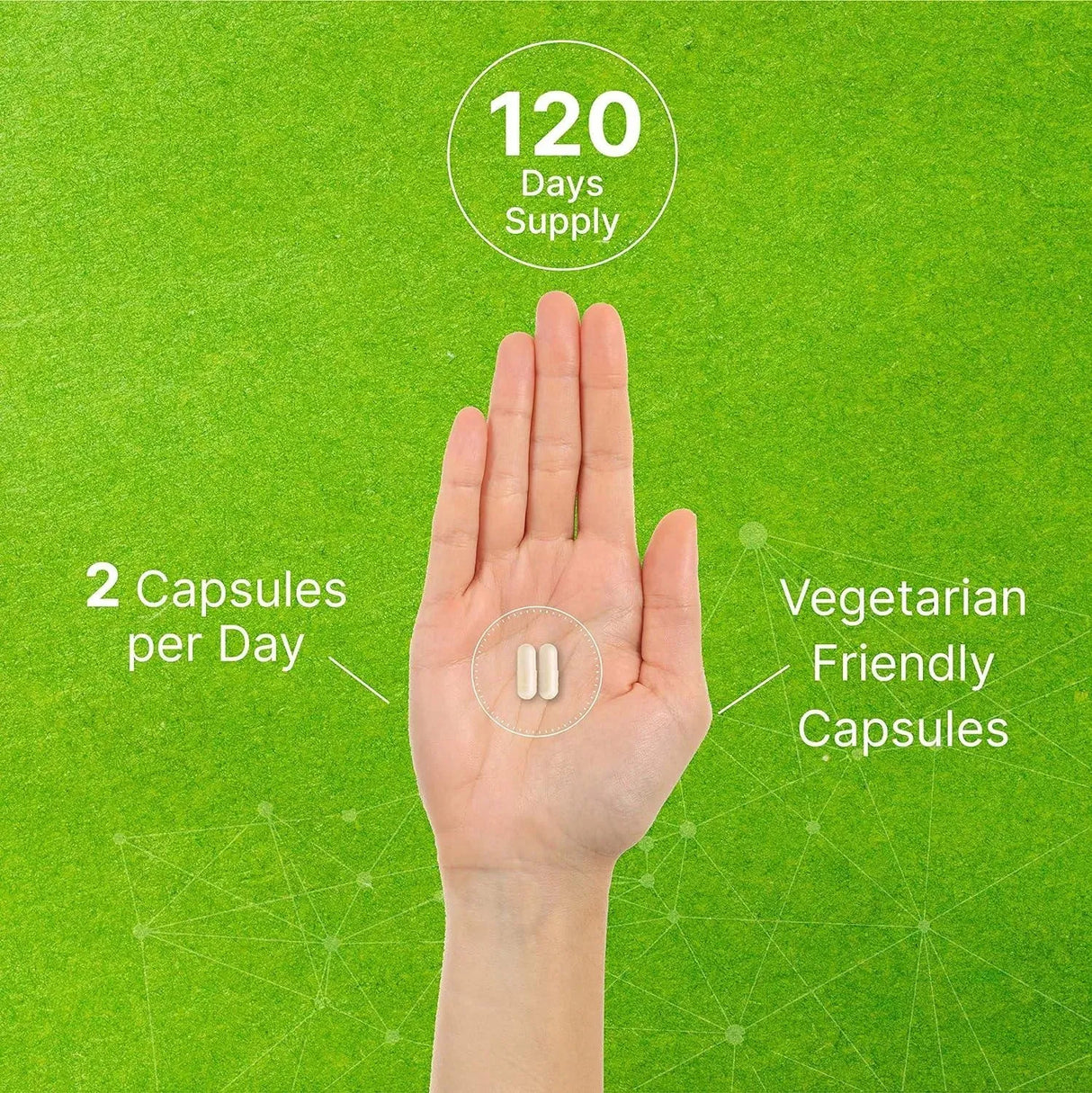 DEAL SUPPLEMENT - Deal Supplement DIM 300Mg. 240 Capsulas - The Red Vitamin MX - Suplementos Alimenticios - {{ shop.shopifyCountryName }}