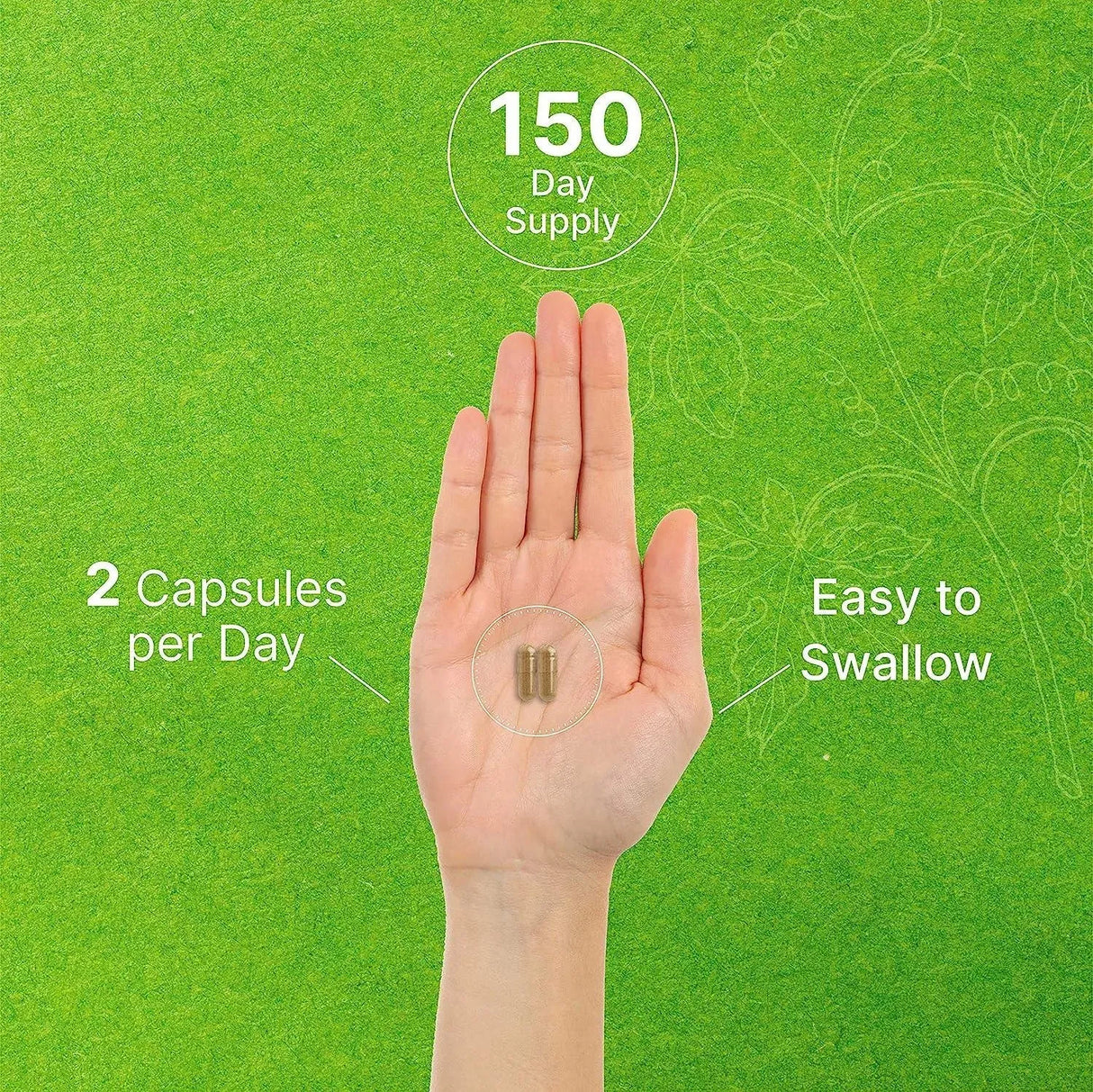 DEAL SUPPLEMENT - Deal Supplement Ginkgo Biloba 500Mg. 300 Capsulas - The Red Vitamin MX - Suplementos Alimenticios - {{ shop.shopifyCountryName }}