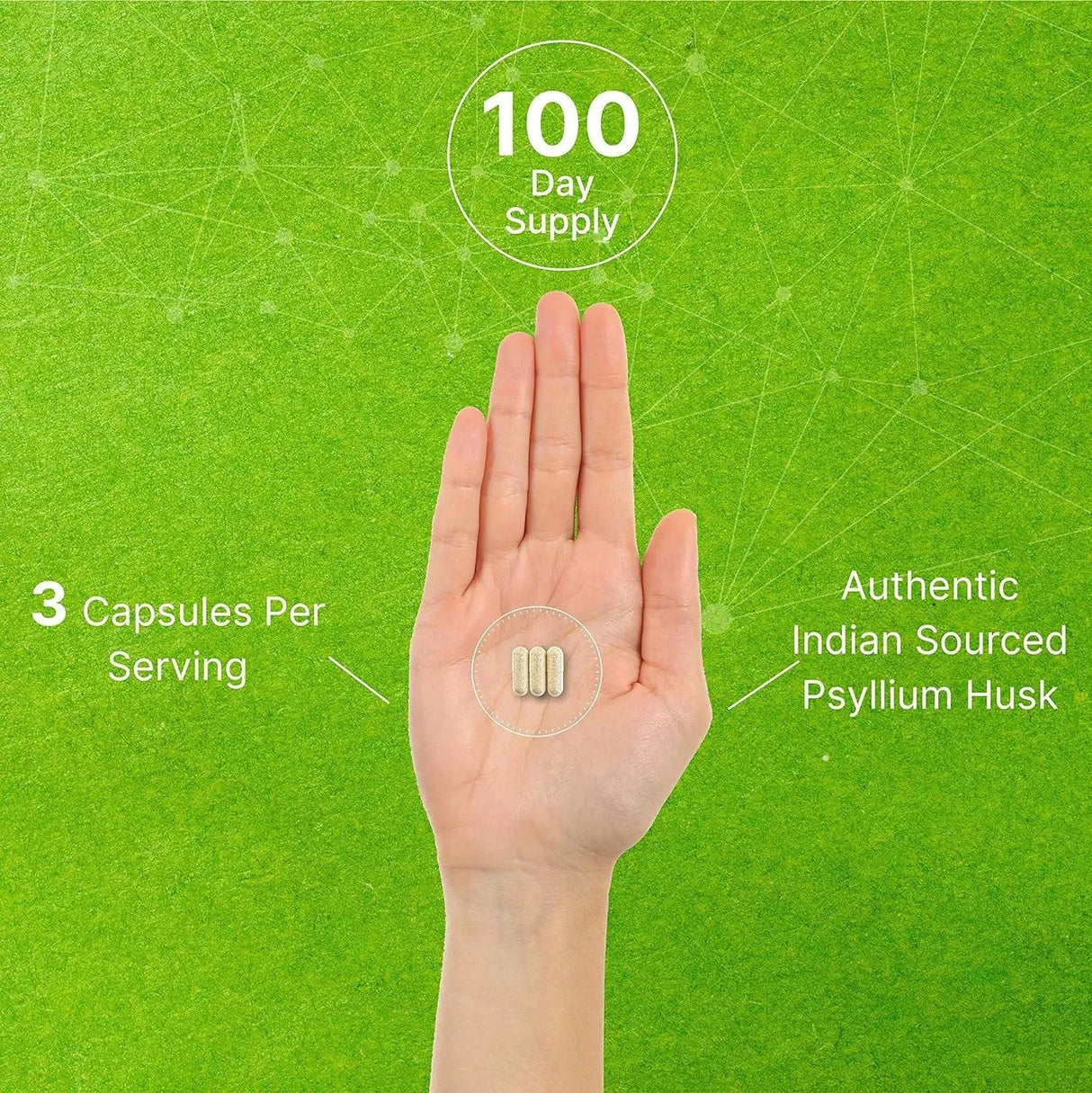 DEAL SUPPLEMENT - Deal Supplement Psyllium Husk Fiber 300 Capsulas - The Red Vitamin MX - Suplementos Alimenticios - {{ shop.shopifyCountryName }}