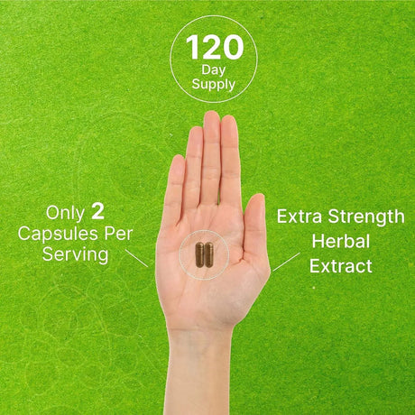 DEAL SUPPLEMENT - Deal Supplement St. John's Wort Extract 1000Mg. 240 Capsulas - The Red Vitamin MX - Suplementos Alimenticios - {{ shop.shopifyCountryName }}