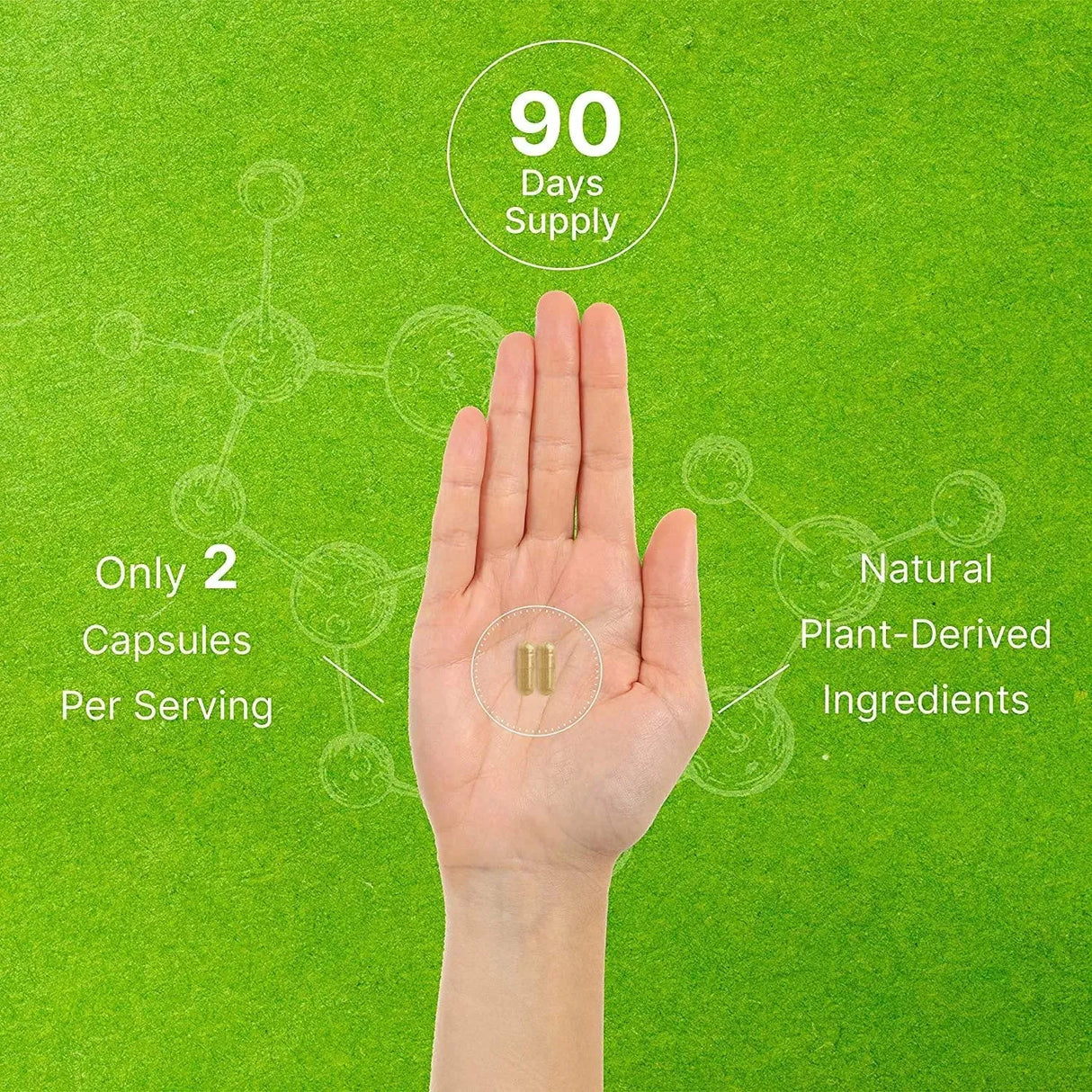 DEAL SUPPLEMENT - Deal Supplement Turkesterone 500Mg. 180 Capsulas - The Red Vitamin MX - Suplementos Alimenticios - {{ shop.shopifyCountryName }}