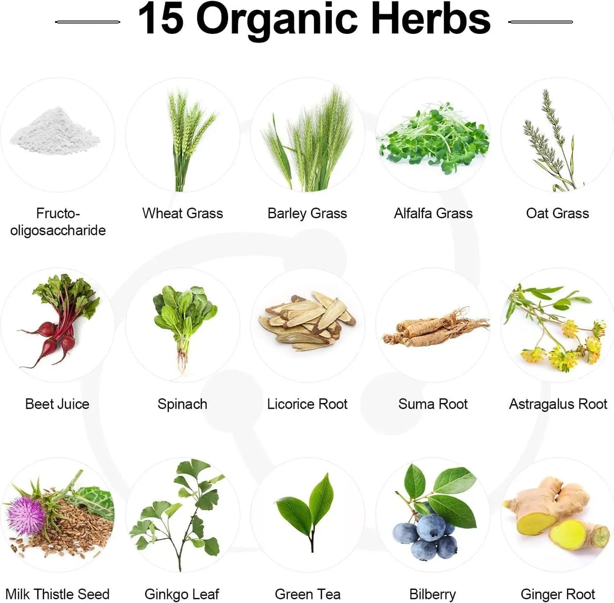 DMEISY - Dmeisy Probiotics 300 Billion CFU 60 Capsulas - The Red Vitamin MX - Suplementos Alimenticios - {{ shop.shopifyCountryName }}