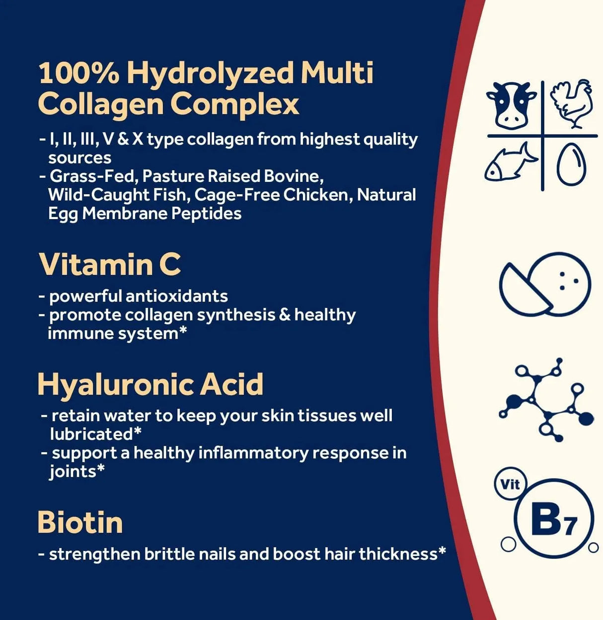 DOCTOR´S RECIPES - Doctor's Recipes Multi Collagen Powder 454Gr. - The Red Vitamin MX - Suplementos Alimenticios - {{ shop.shopifyCountryName }}