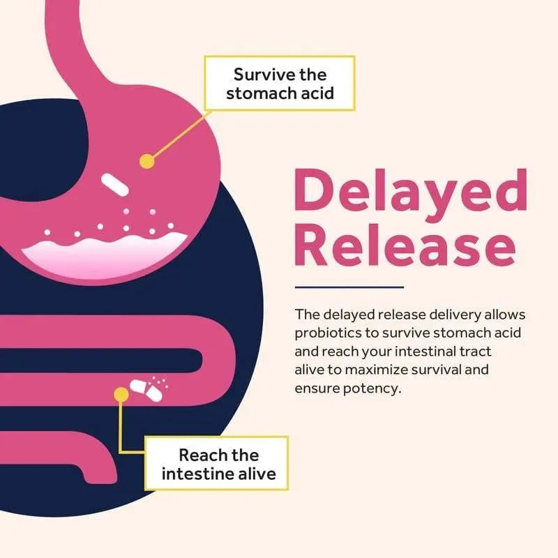 DOCTOR´S RECIPES - Doctor's Recipes Probiotics for Women 100 Billion CFU 30 Capsulas - The Red Vitamin MX - Suplementos Alimenticios - {{ shop.shopifyCountryName }}