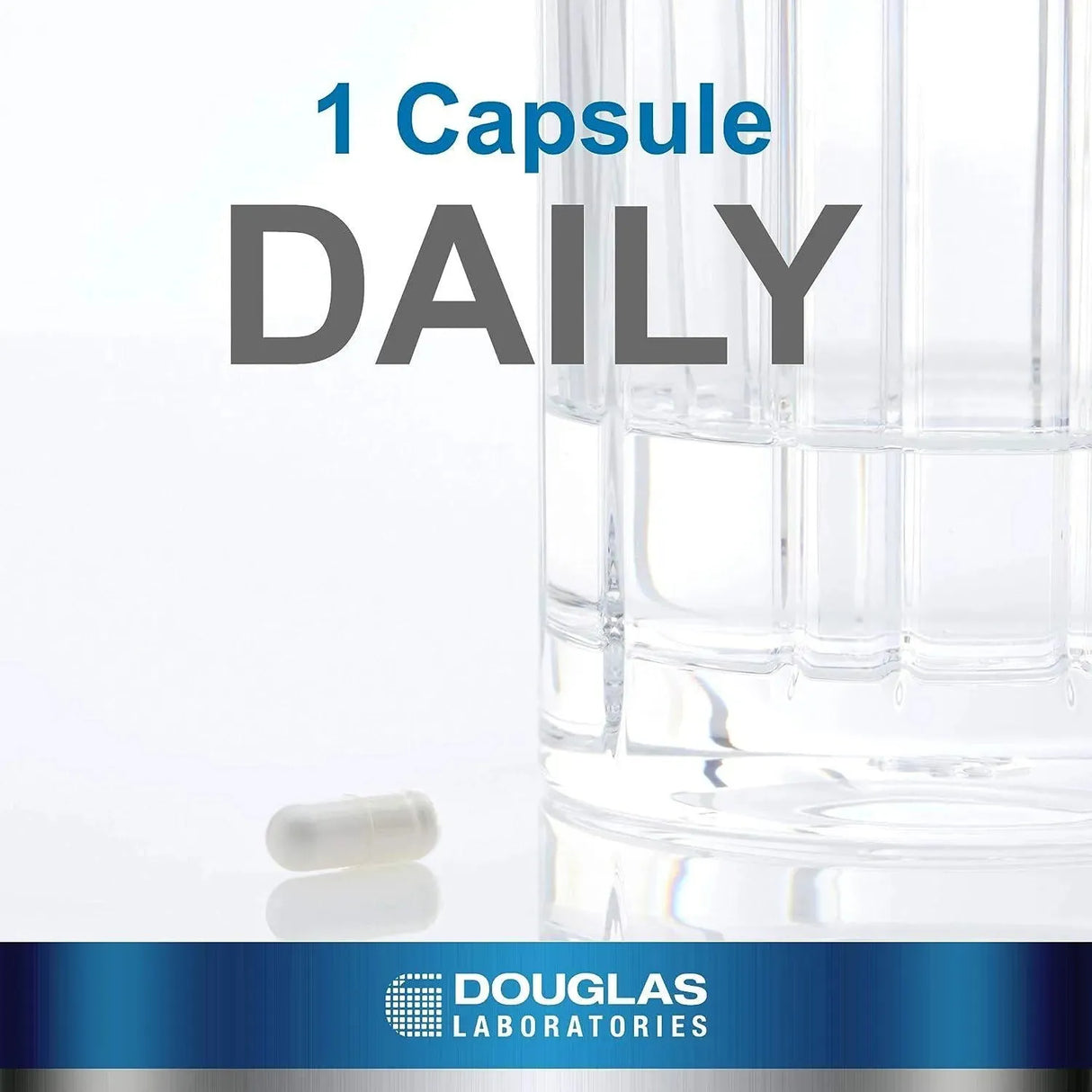 DOUGLAS LABORATORIES - Douglas Laboratories L-Theanine 60 Capsulas - The Red Vitamin MX - Suplementos Alimenticios - {{ shop.shopifyCountryName }}