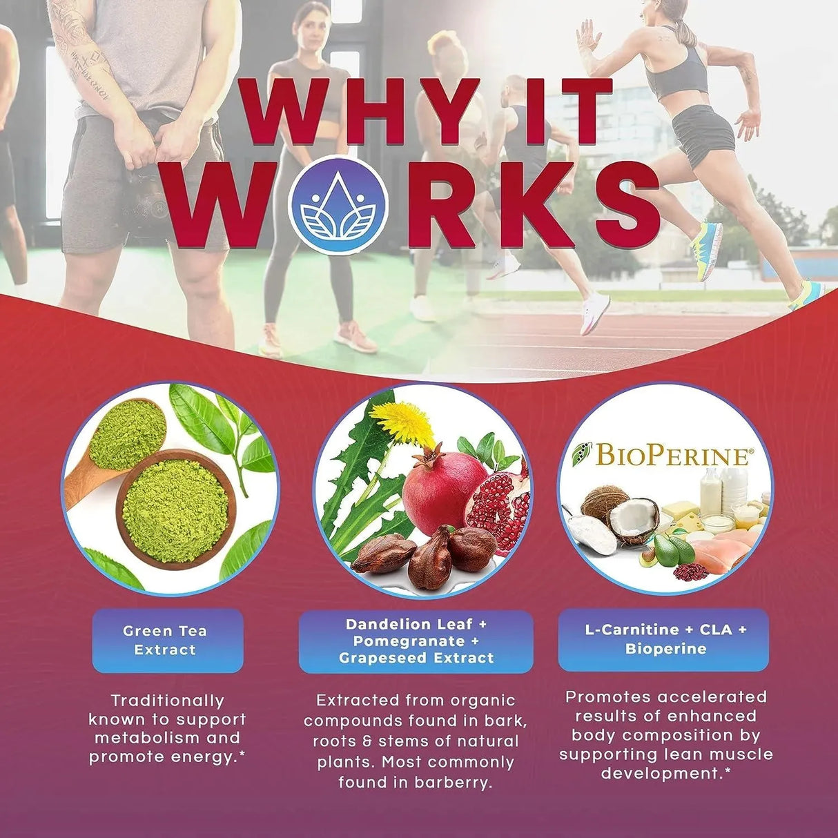 DR EMIL NUTRITION - DR EMIL NUTRITION Daytime Burn 60 Capsulas - The Red Vitamin MX - Suplementos Alimenticios - {{ shop.shopifyCountryName }}