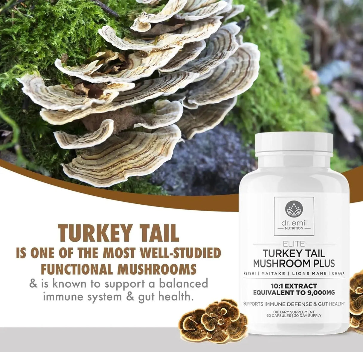 DR EMIL NUTRITION - DR. EMIL NUTRITION Turkey Tail Mushroom 9000Mg. 60 Capsulas - The Red Vitamin MX - Suplementos Alimenticios - {{ shop.shopifyCountryName }}