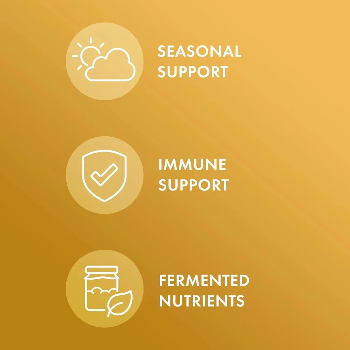 DR MERCOLA - Dr. Mercola Fermented Beta Glucans 60 Capsulas - The Red Vitamin MX - Suplementos Alimenticios - {{ shop.shopifyCountryName }}