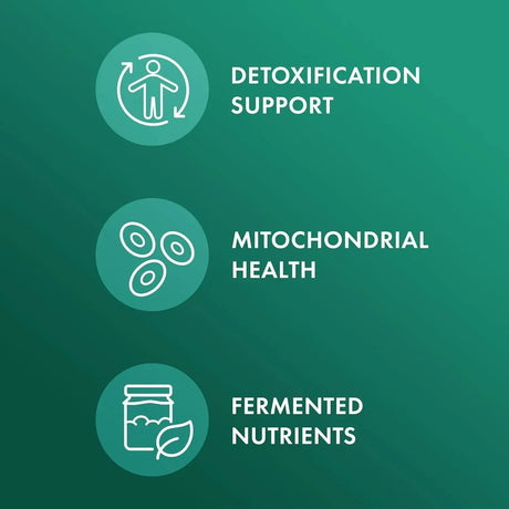 DR MERCOLA - Dr. Mercola Fermented Broccoli Sprouts 30 Capsulas - The Red Vitamin MX - Suplementos Alimenticios - {{ shop.shopifyCountryName }}