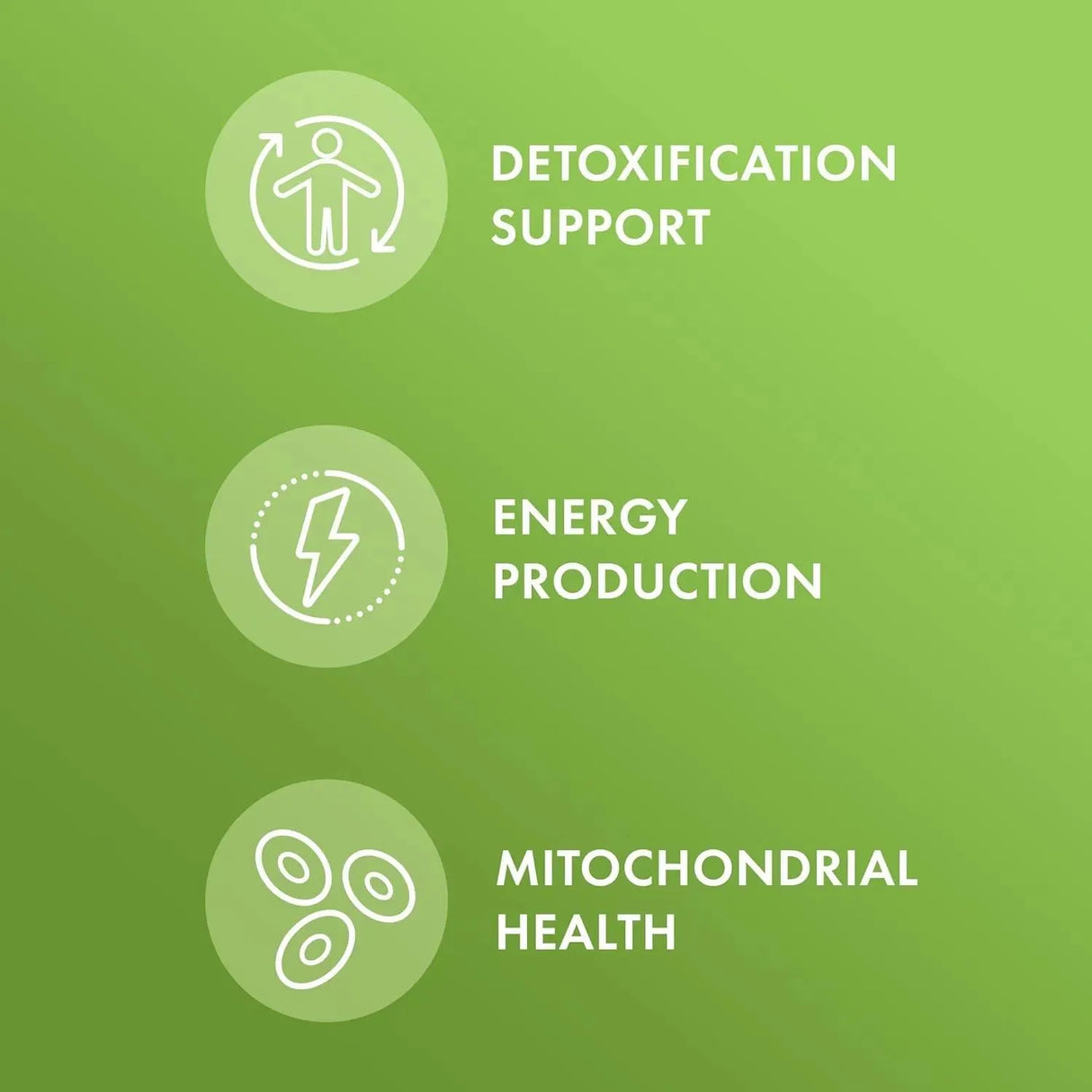 DR MERCOLA - Dr. Mercola Methyl Folate 5000mcg 30 Capsulas - The Red Vitamin MX - Suplementos Alimenticios - {{ shop.shopifyCountryName }}