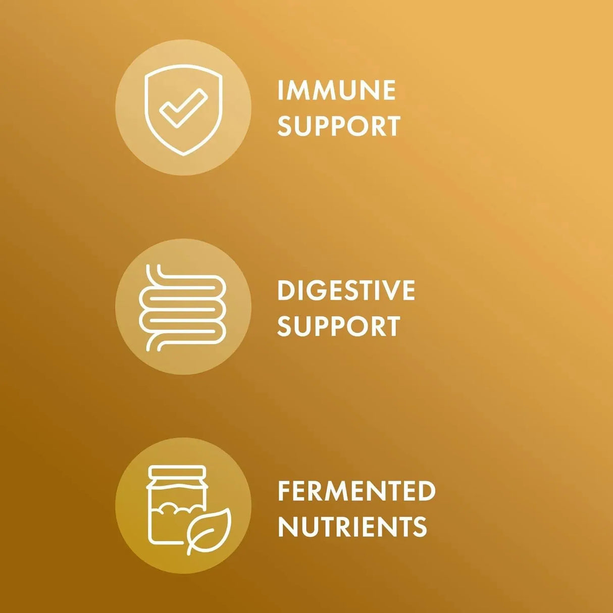 DR MERCOLA - Dr. Mercola Organic Fermented Ginger 60 Capsulas - The Red Vitamin MX - Suplementos Alimenticios - {{ shop.shopifyCountryName }}