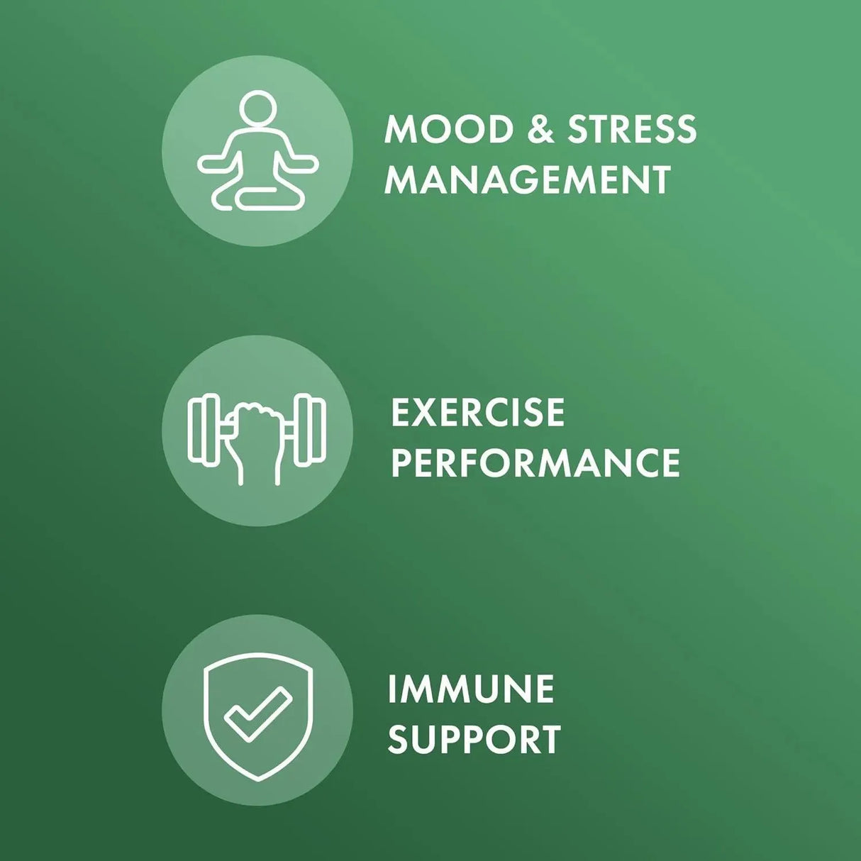 DR MERCOLA - Dr. Mercola Rhodiola Extract 30 Capsulas - The Red Vitamin MX - Suplementos Alimenticios - {{ shop.shopifyCountryName }}