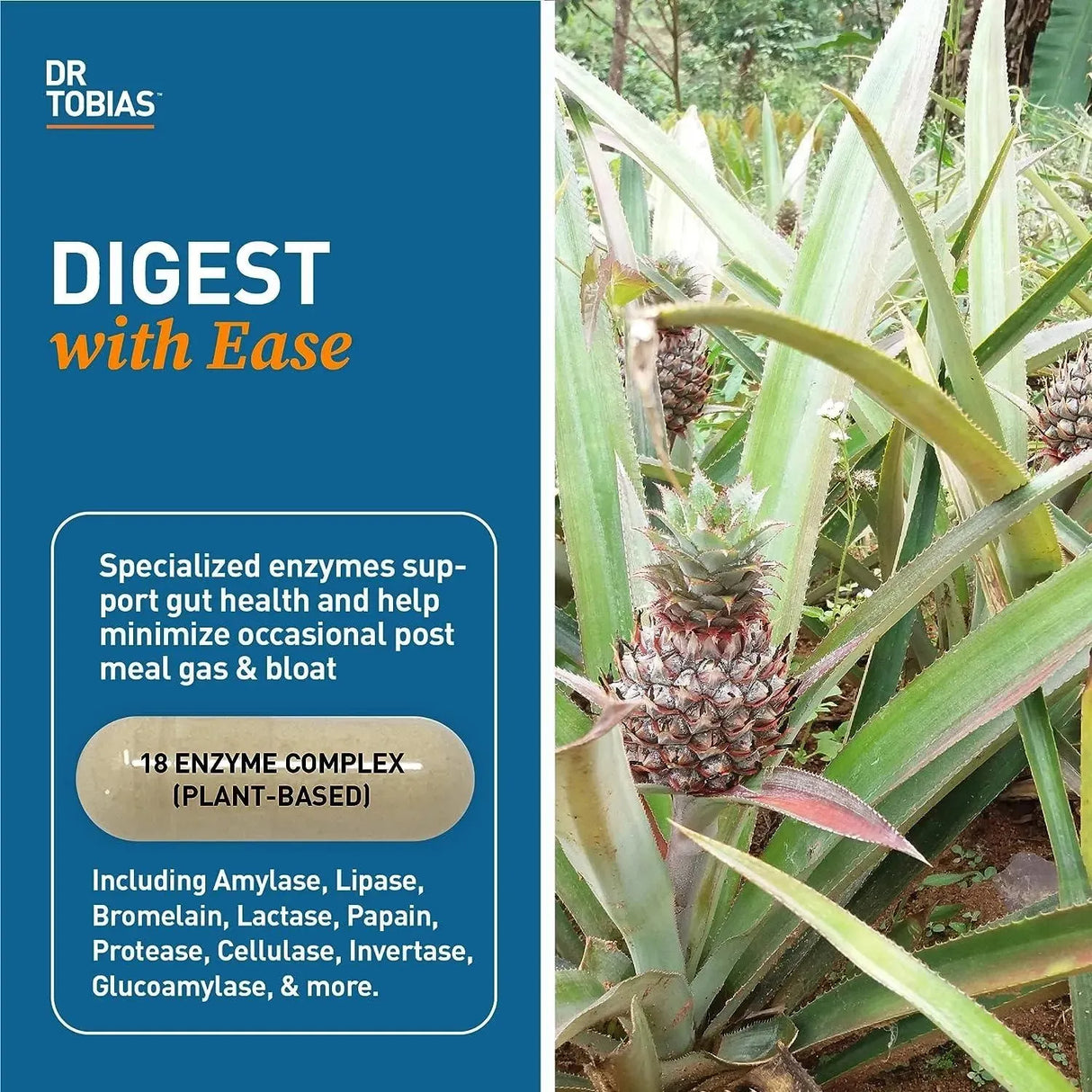DR TOBIAS - Dr. Tobias Digestive Enzymes 30 Capsulas - The Red Vitamin MX - Suplementos Alimenticios - {{ shop.shopifyCountryName }}