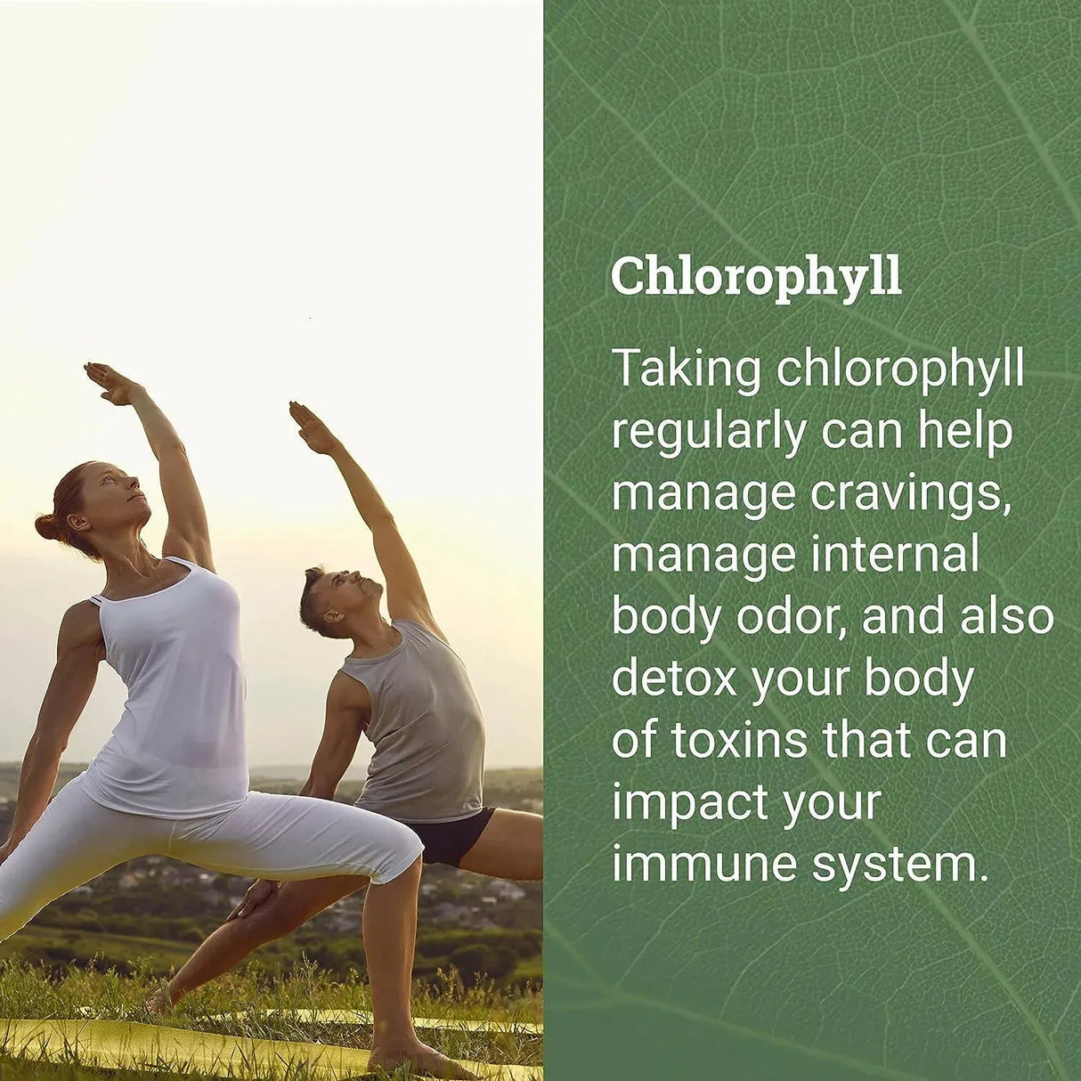 EARTH HARMONY NATURALS - Earth Harmony Naturals Organic Chlorophyll Liquid Drops 2 Fl.Oz. - The Red Vitamin MX - Suplementos Alimenticios - {{ shop.shopifyCountryName }}