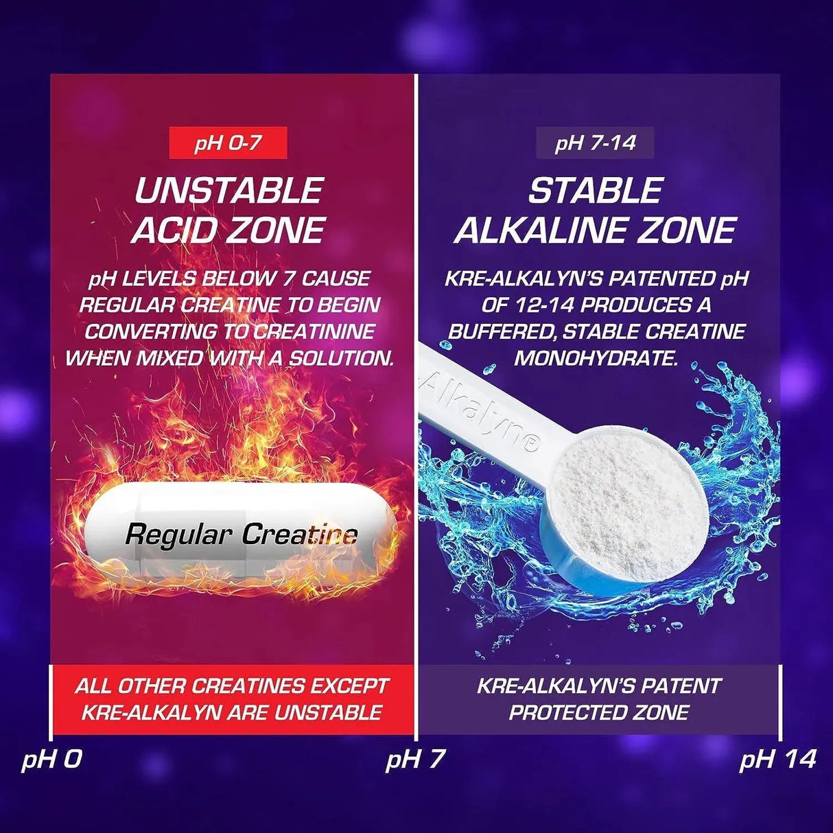 EFX SPORTS - EFX Sports Kre-Alkalyn EFX Powder 66 Servicios 100Gr. - The Red Vitamin MX - Suplementos Alimenticios - {{ shop.shopifyCountryName }}