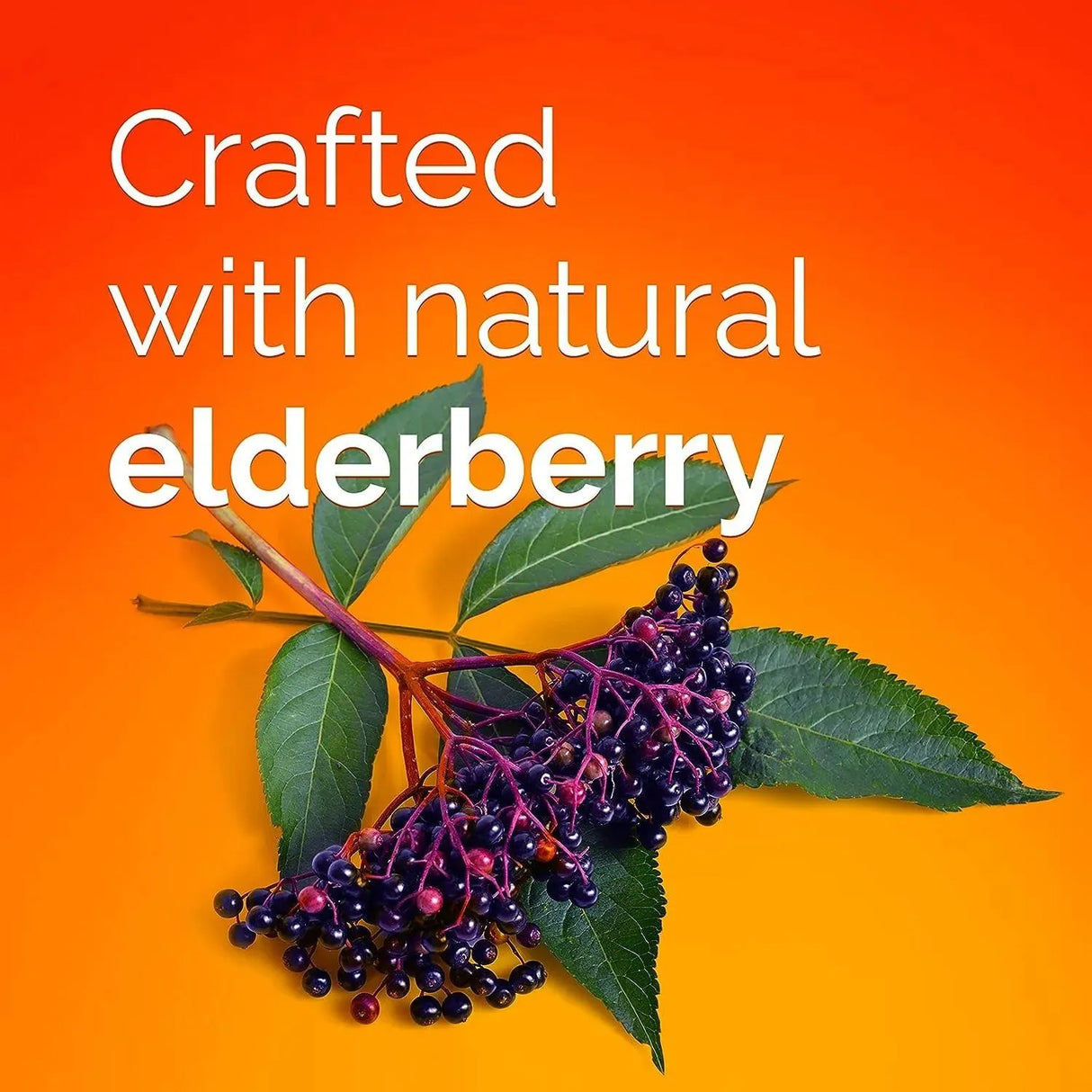 EMERGEN-C - Emergen-C Elderberry Fizzy Drink Mix 18 Pack - The Red Vitamin MX - Suplementos Alimenticios - {{ shop.shopifyCountryName }}