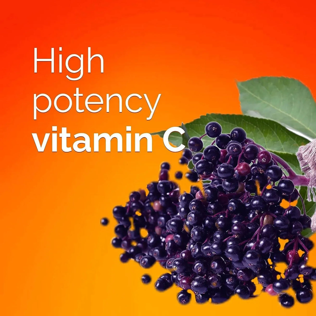 EMERGEN-C - Emergen-C Elderberry Fizzy Drink Mix 18 Pack - The Red Vitamin MX - Suplementos Alimenticios - {{ shop.shopifyCountryName }}