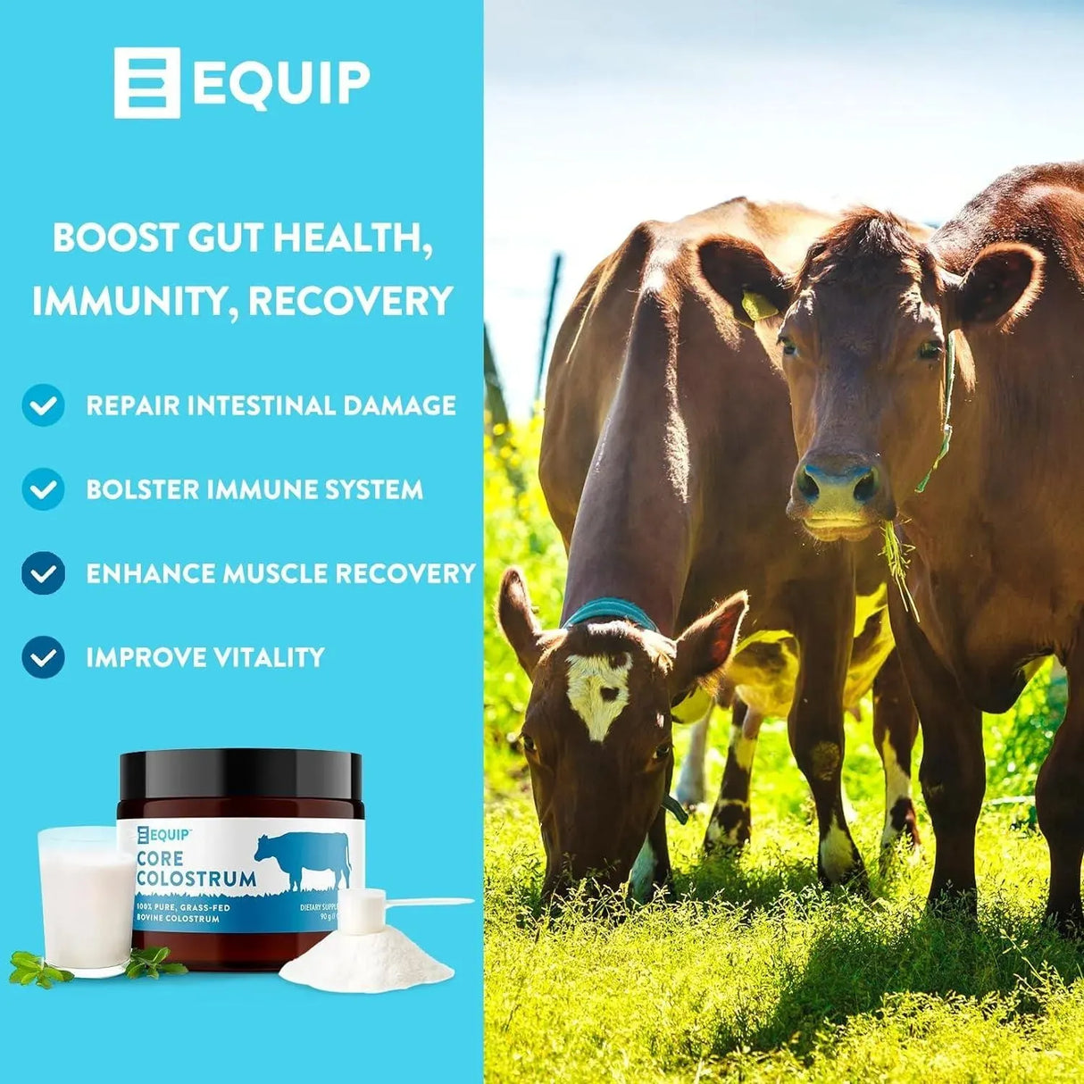 EQUIP - Equip Foods Core Colostrum 90Gr. - The Red Vitamin MX - Suplementos Alimenticios - {{ shop.shopifyCountryName }}