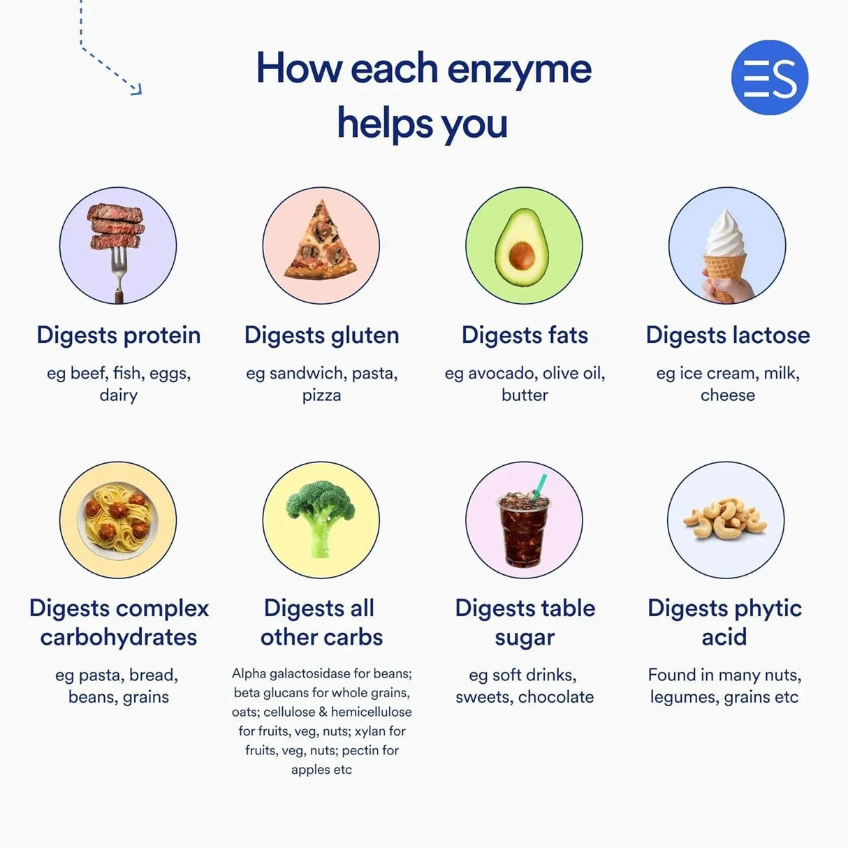 ESSENTIAL STACKS - Essential Stacks Pure Digestive Enzymes 60 Capsulas - The Red Vitamin MX - Suplementos Alimenticios - {{ shop.shopifyCountryName }}