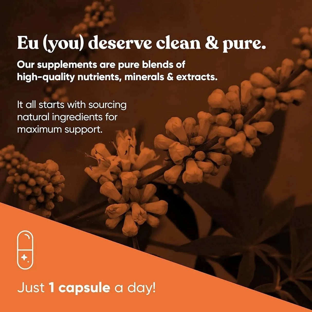 EU NATURAL - Eu Natural Baya Casto Pure 400Mg. 60 Capsulas - The Red Vitamin MX - Suplementos Alimenticios - {{ shop.shopifyCountryName }}